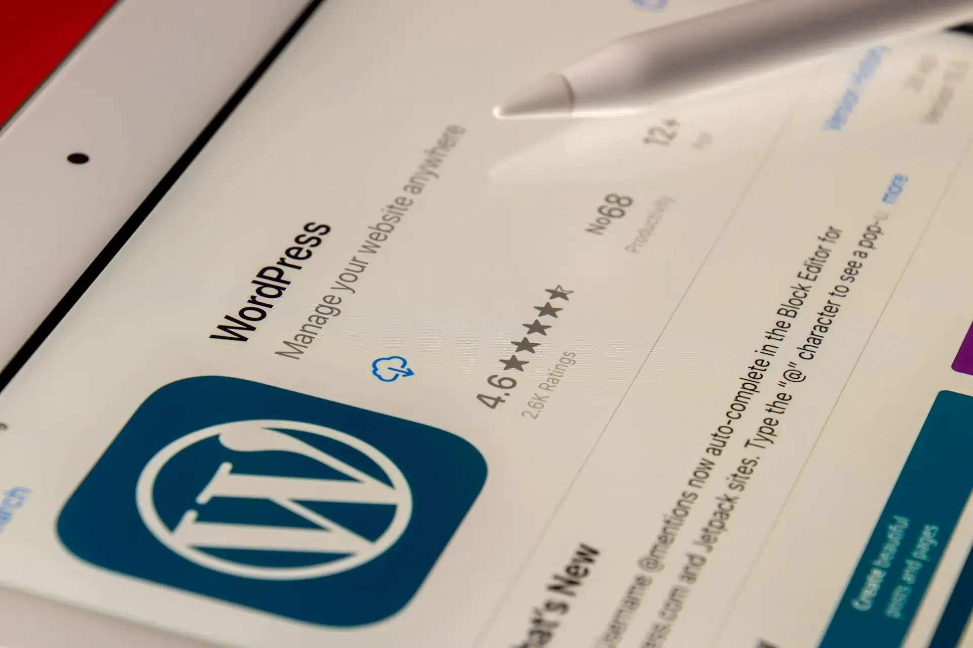 site internet wordpress